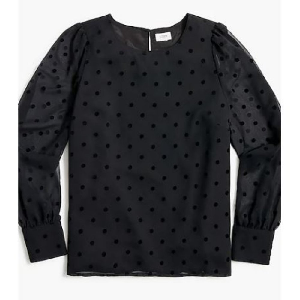 J Crew Sheer Chiffon Dot Sleeve Flock Top